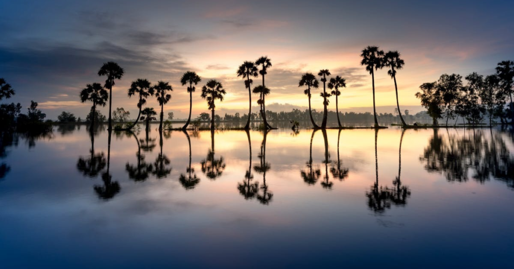Early Morning, Best times to visit a temple